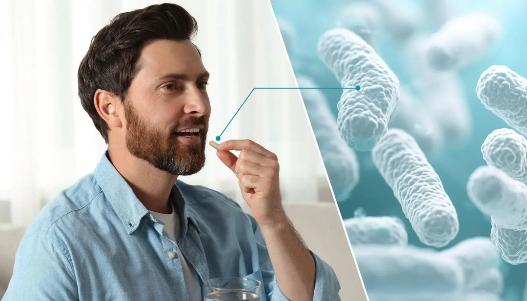 Probiotics for Men: 10 Science-Backed Benefits