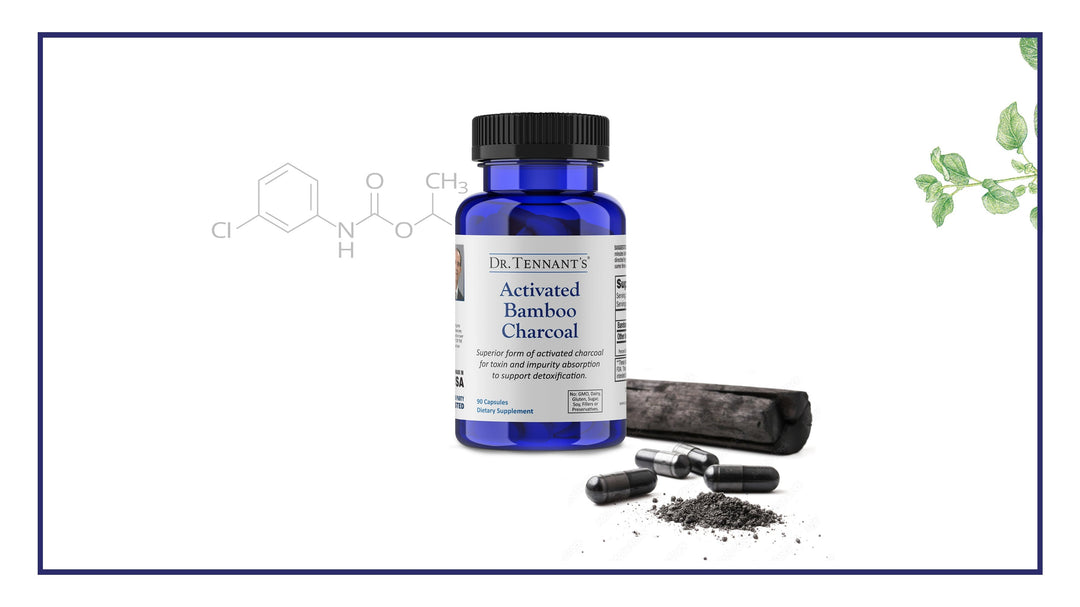 Guide to Taking Activated Bamboo Charcoal</br>[Free Download]