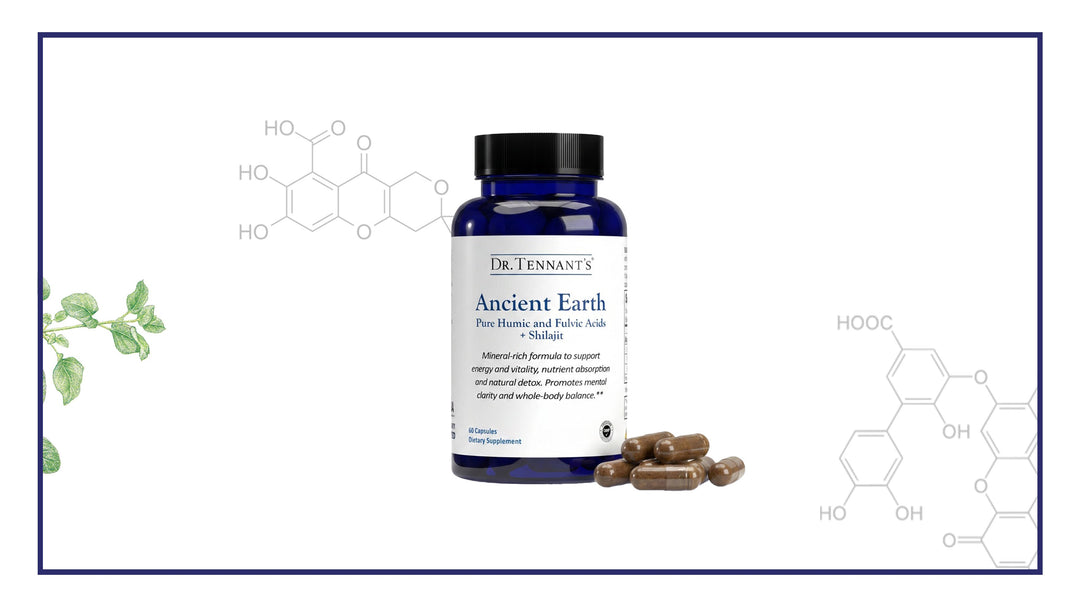 Guide to Taking Ancient Earth™<br>[Free Download]