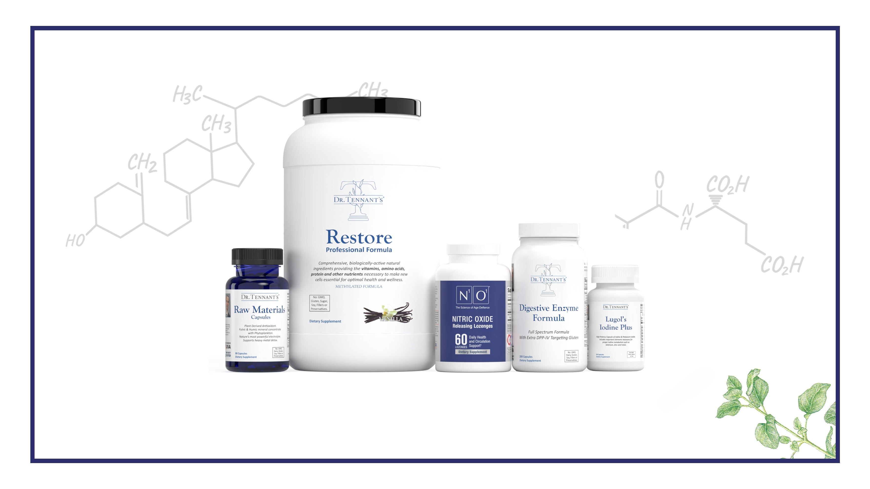 Guide for Cellular Nutrition Program<br>[Free Download]