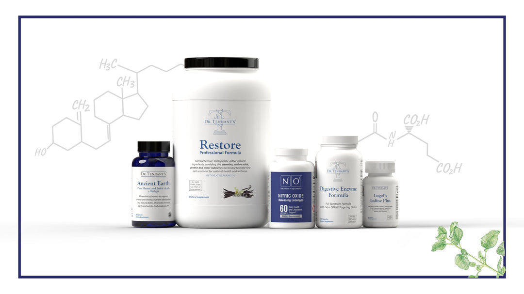 Guide for Cellular Nutrition Program<br>[Free Download]