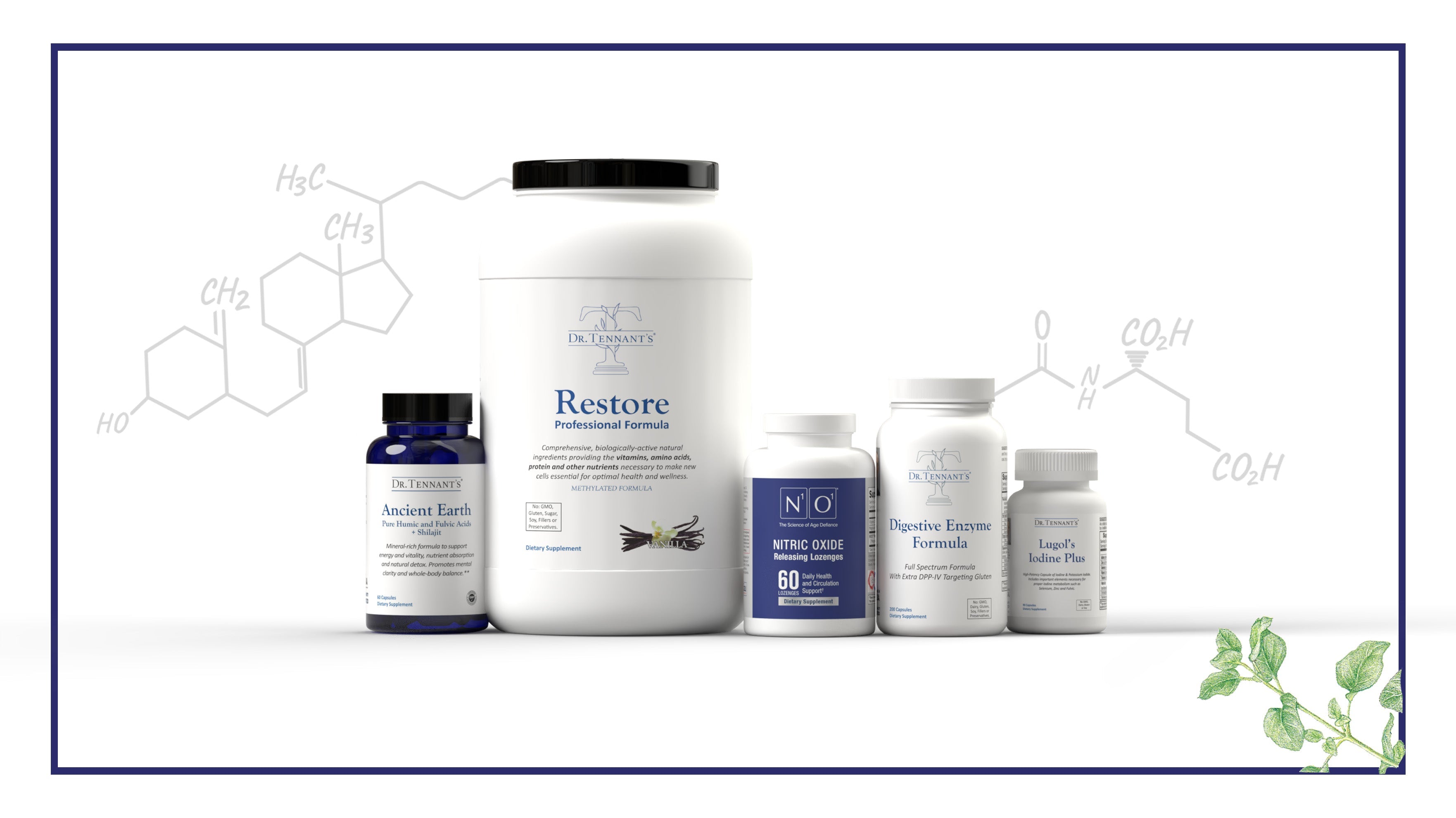 Guide for Cellular Nutrition Program<br>[Free Download]