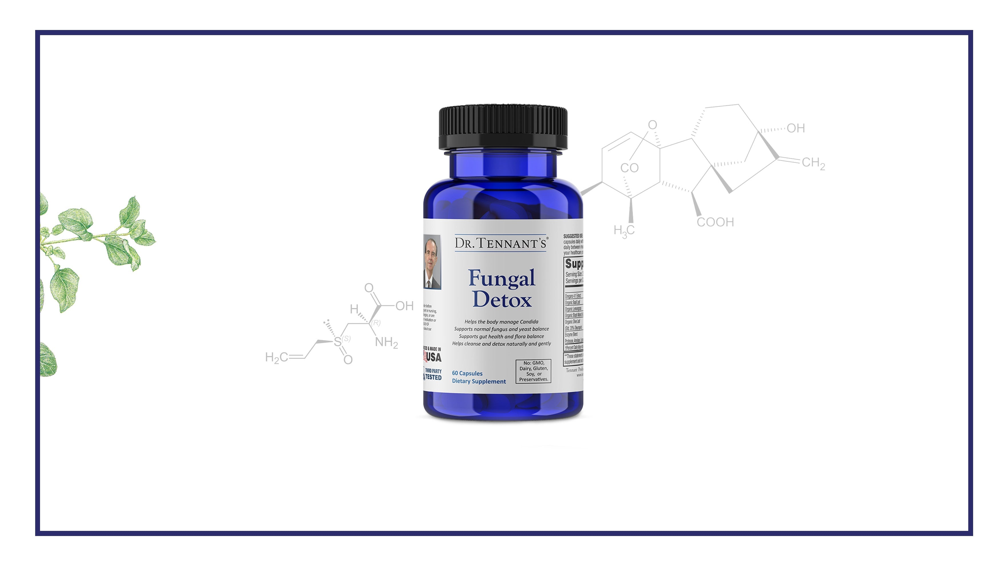 Guide to Taking Fungal Detox</br>[Free Download]
