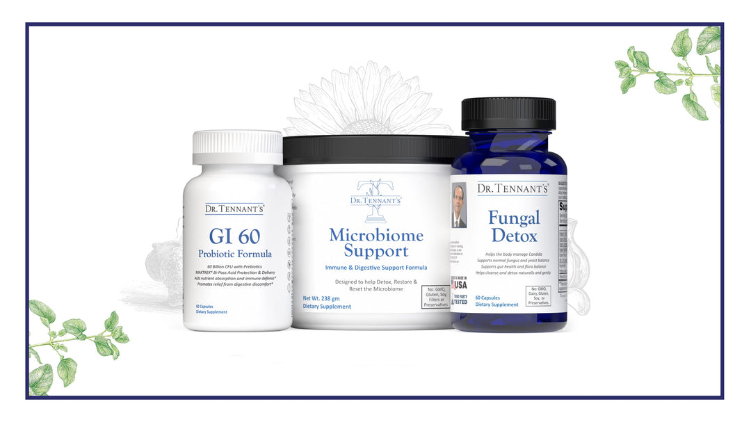 Guide to Taking Gut Bootcamp<br>[Free Download]