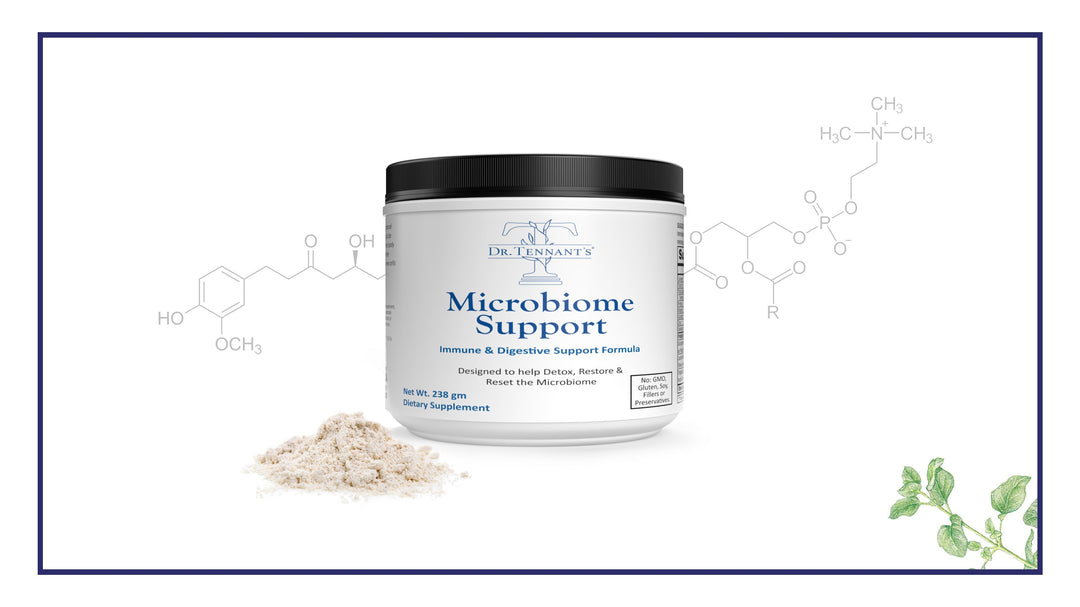 Guide to Taking Microbiome Support<br>[Free Download]