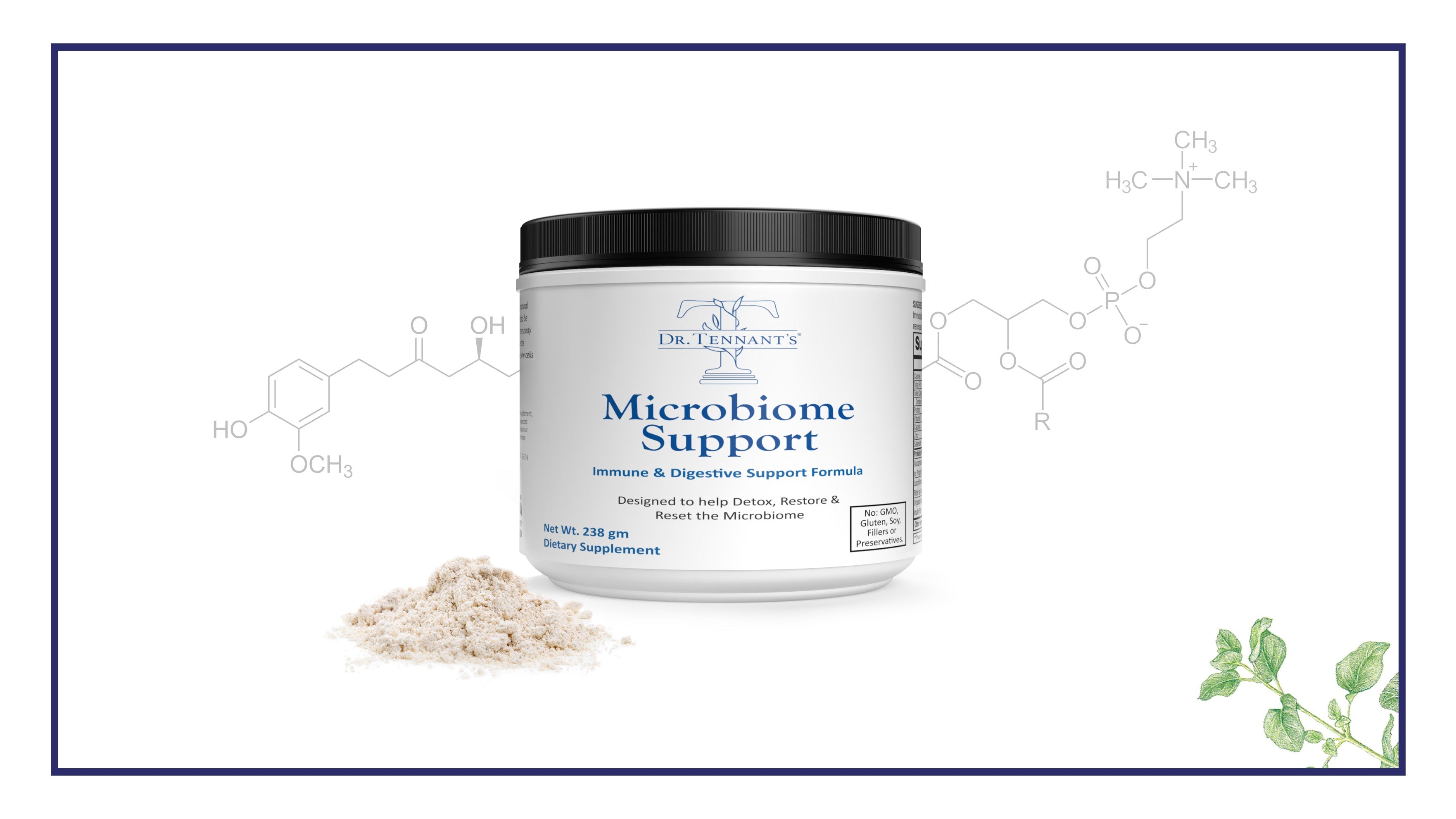 Guide to Taking Microbiome Support<br>[Free Download]