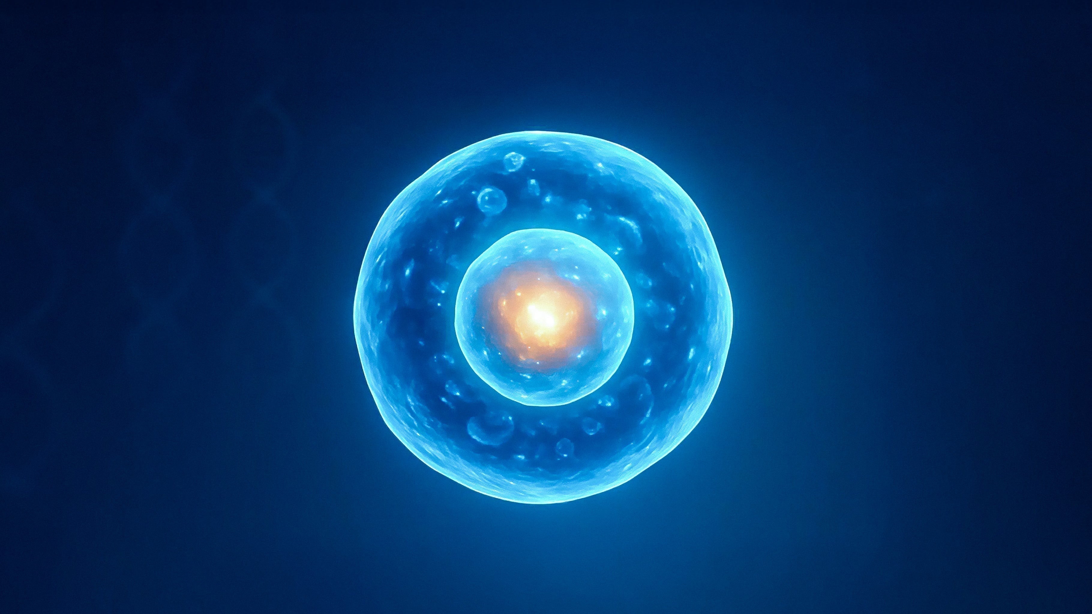 What Is Cellular Health? Improve Energy & Recovery