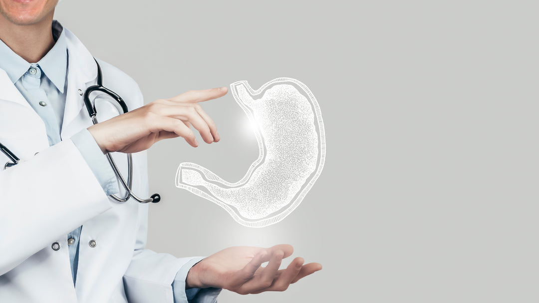 Digestive Enzymes Demystified: What Do They Do?