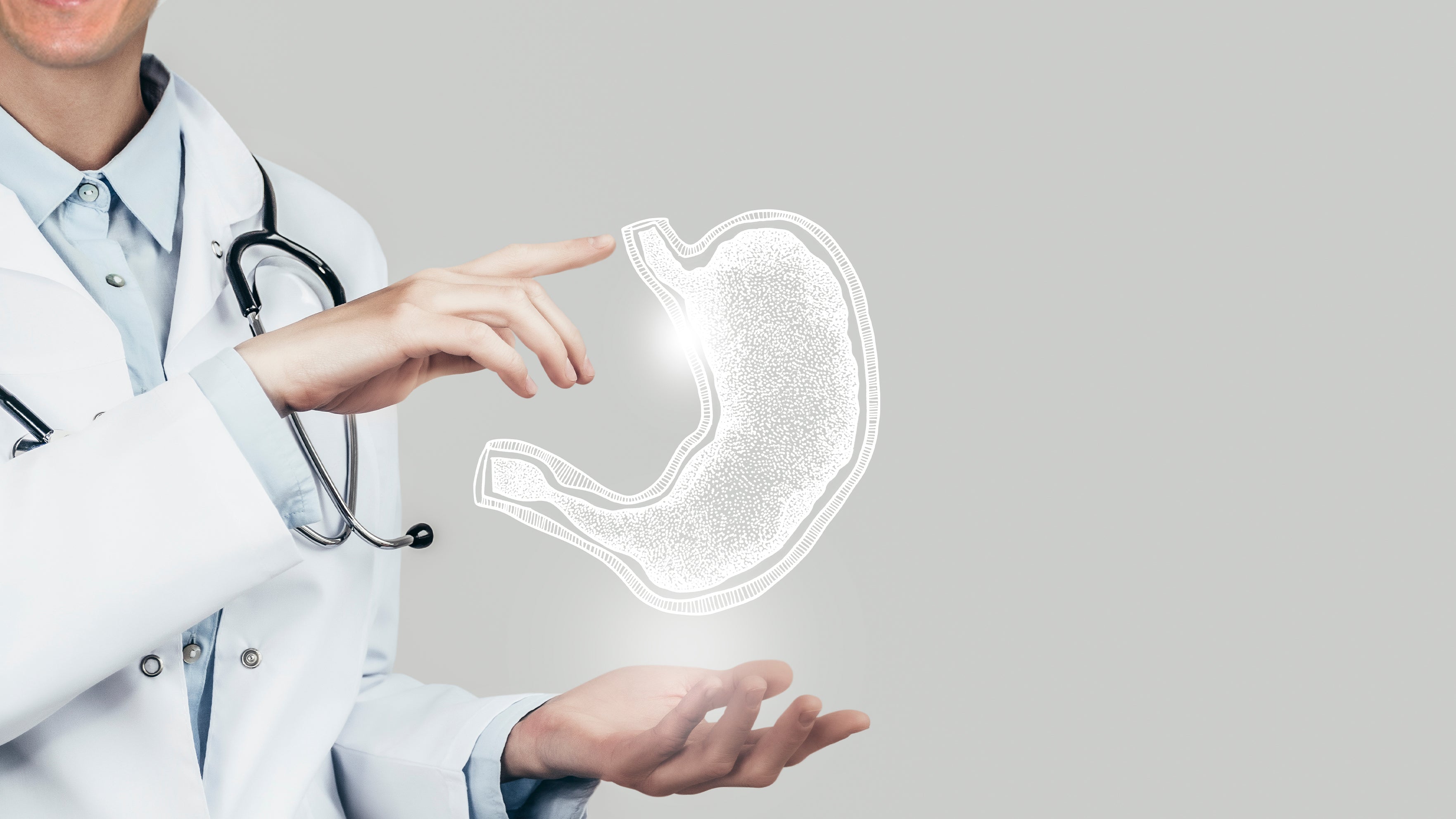 Digestive Enzymes Demystified: What Do They Do?