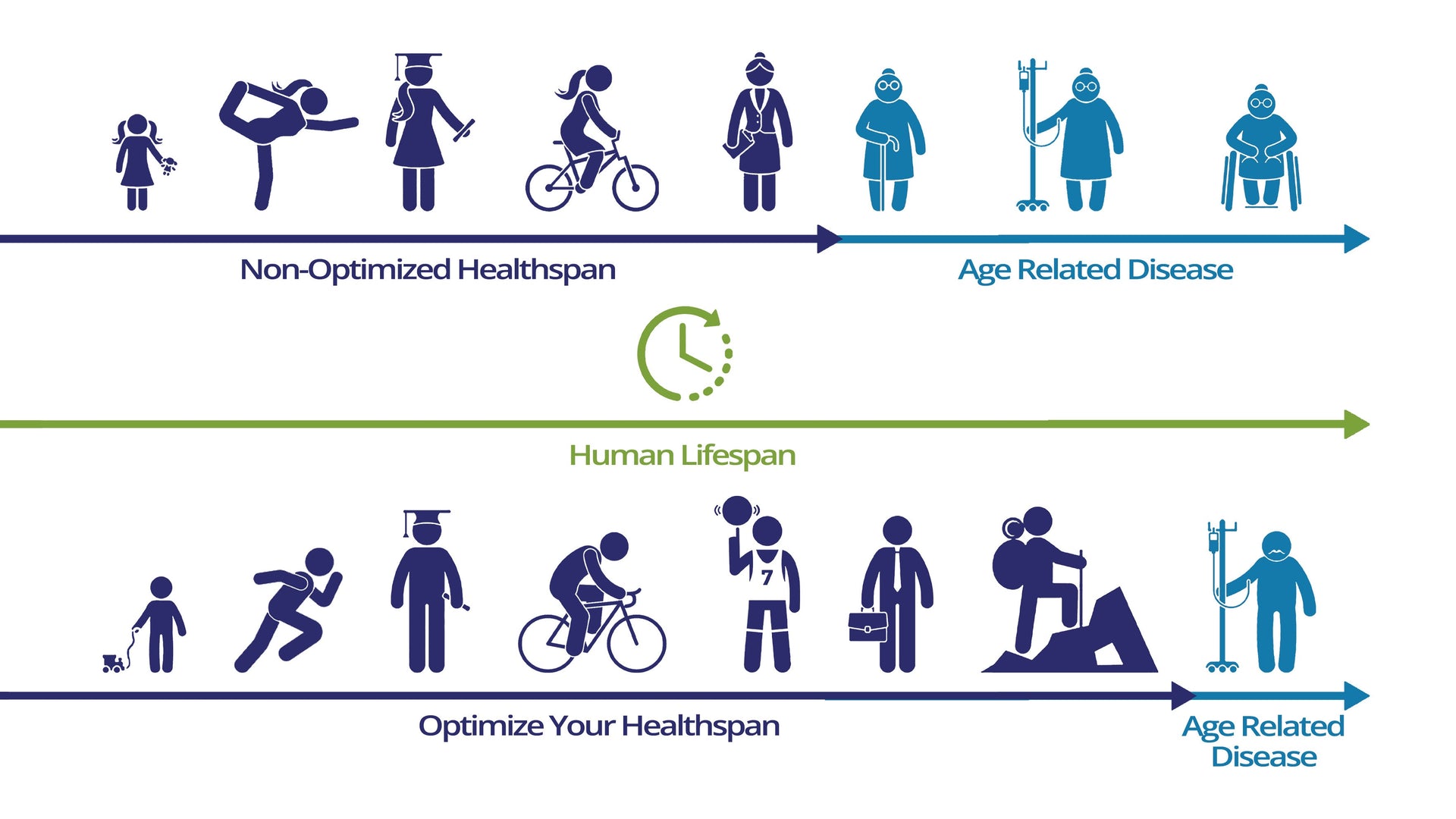 What Is the Difference Between Lifespan and Healthspan? – Tennant Products