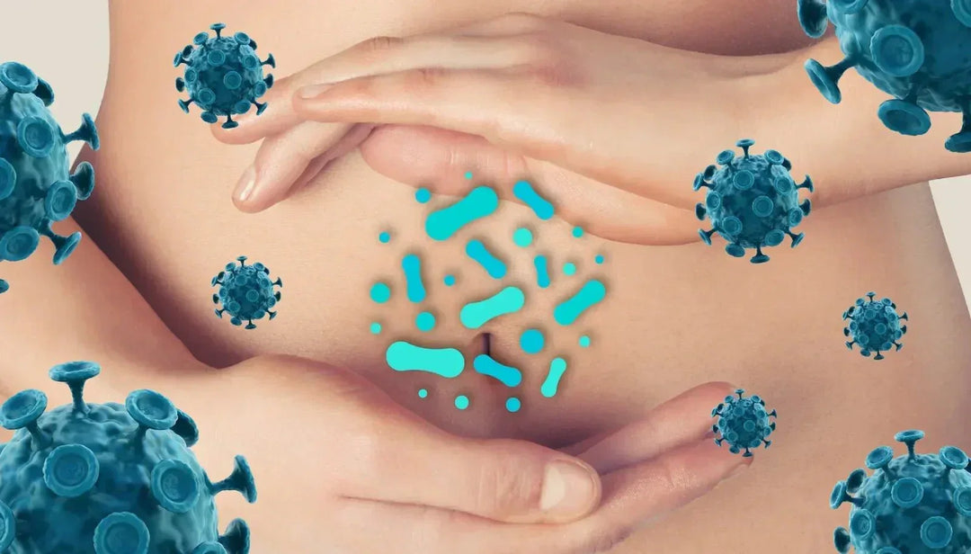 Probiotics and Immune Support: What You Need to Know