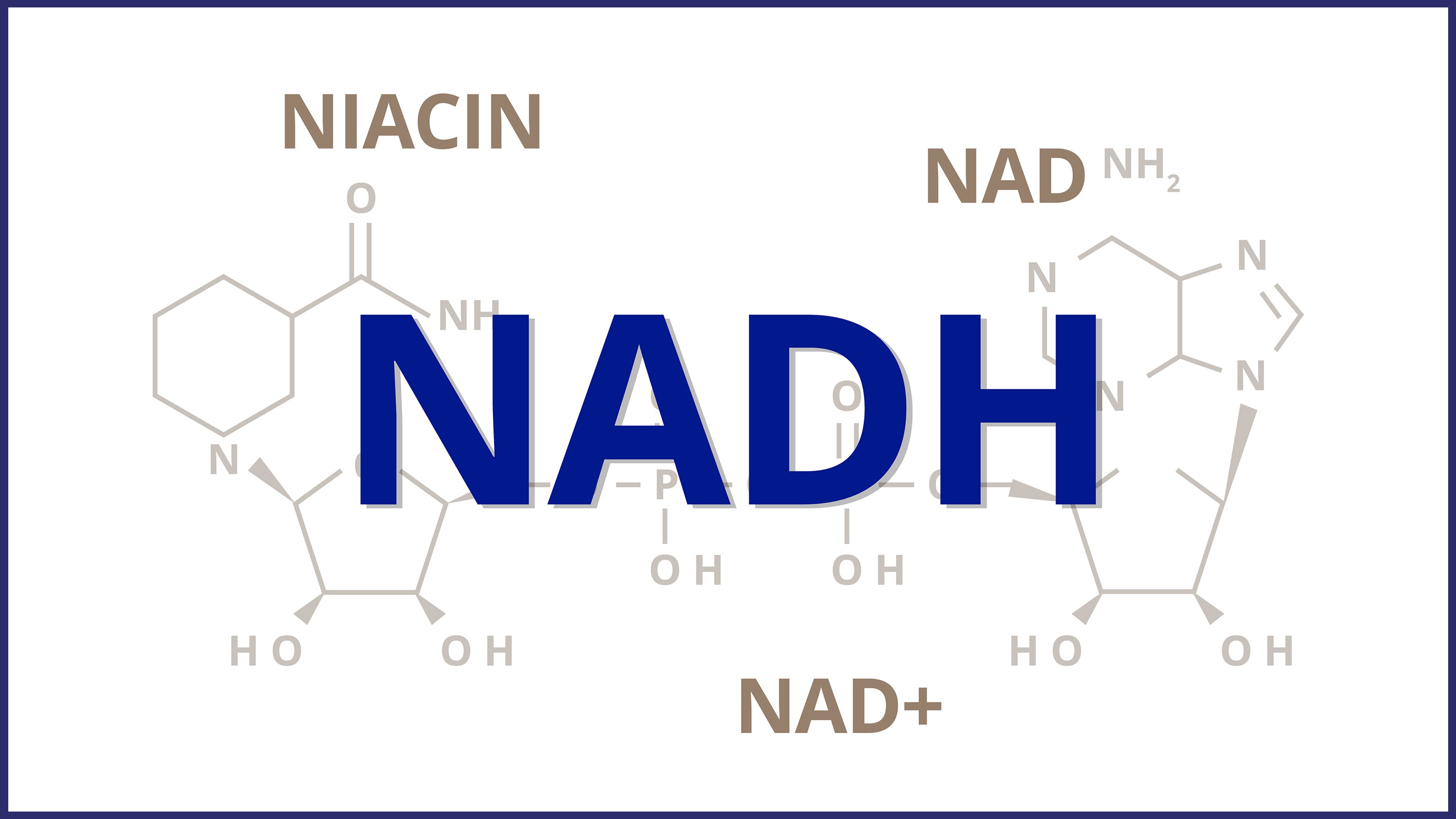 What is NAD+ and NADH and Why is it Important for Optimal Health?
