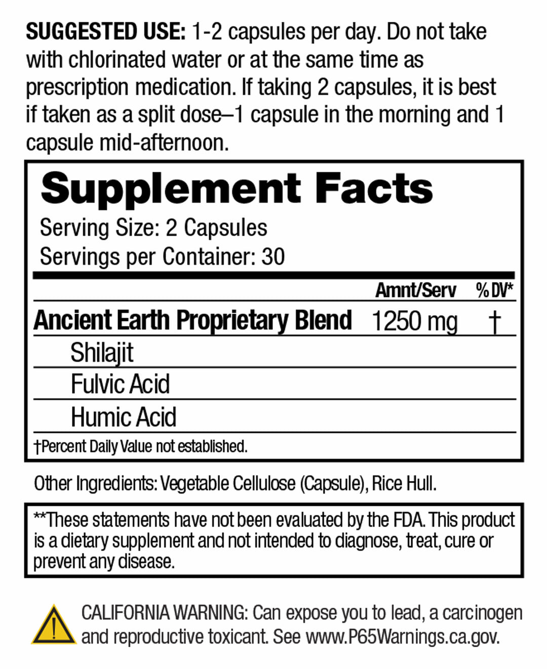 Ancient Earth